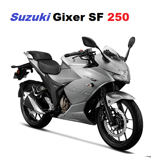 Suzuki Gixer SF 250 looks 